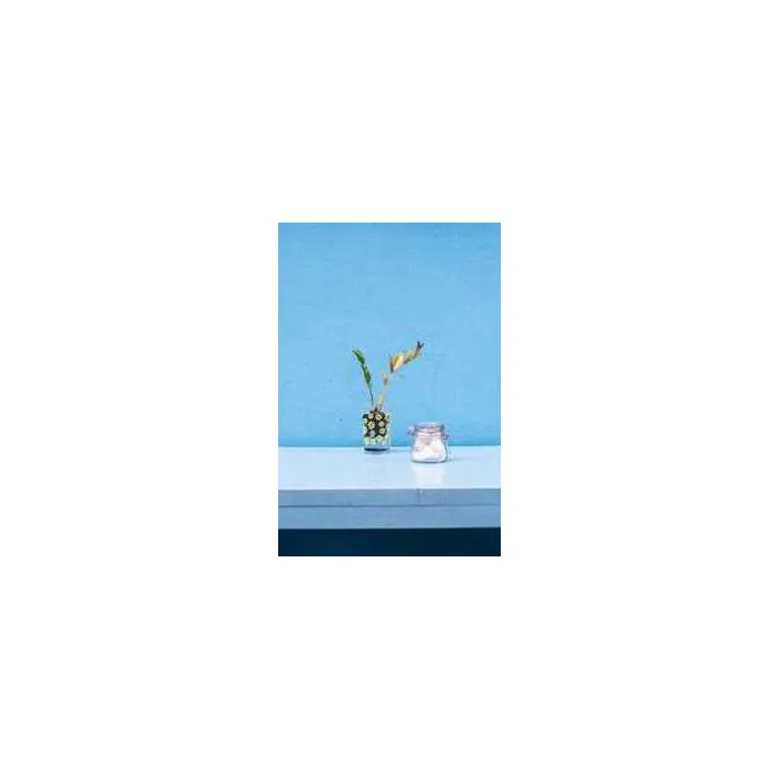 Simple Product 7901