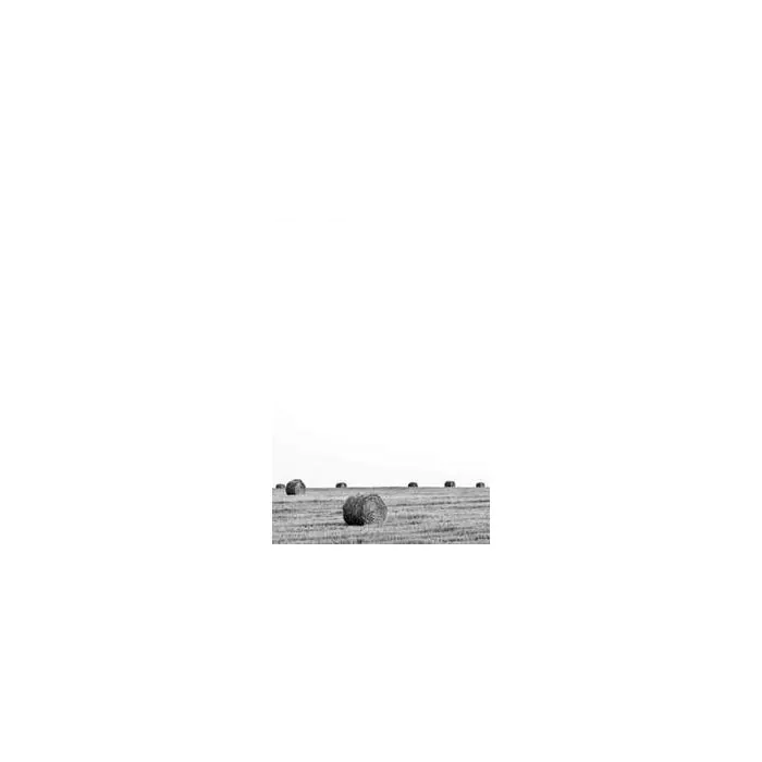 Simple Product 5932