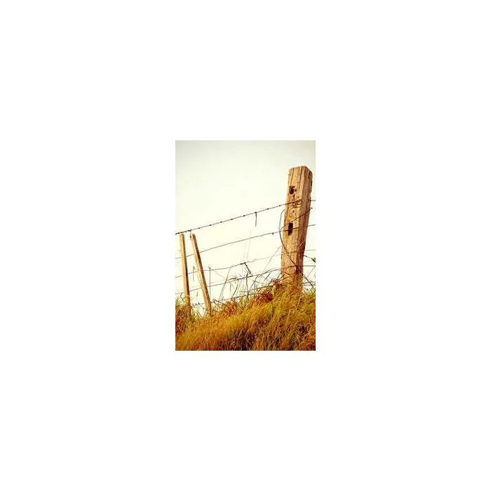 Simple Product 6557