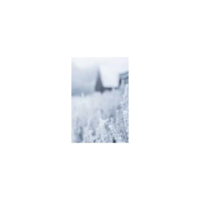 Simple Product 9848