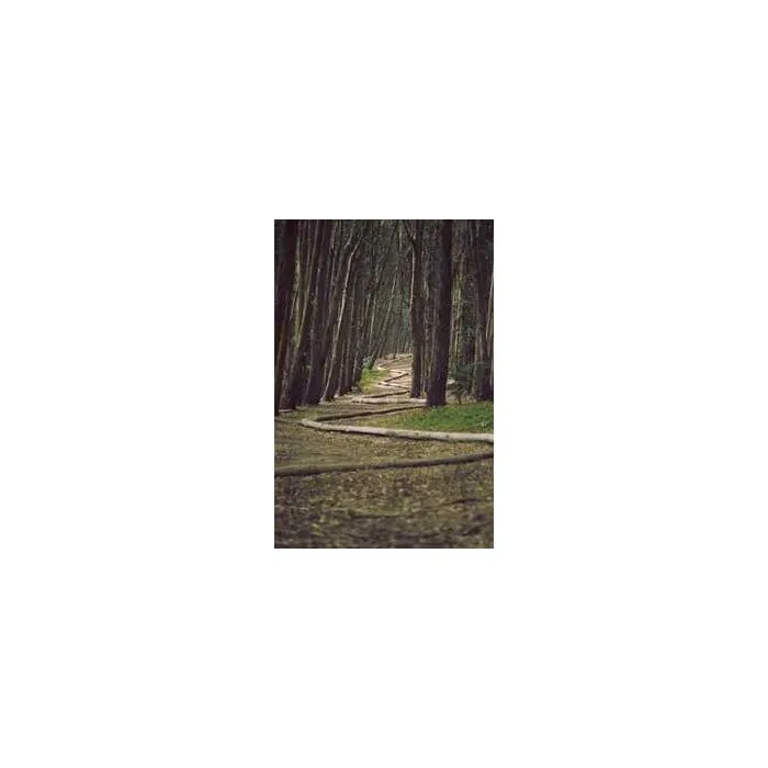 Simple Product 8421