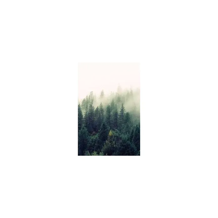 Simple Product 10443