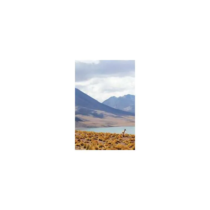 Simple Product 1160