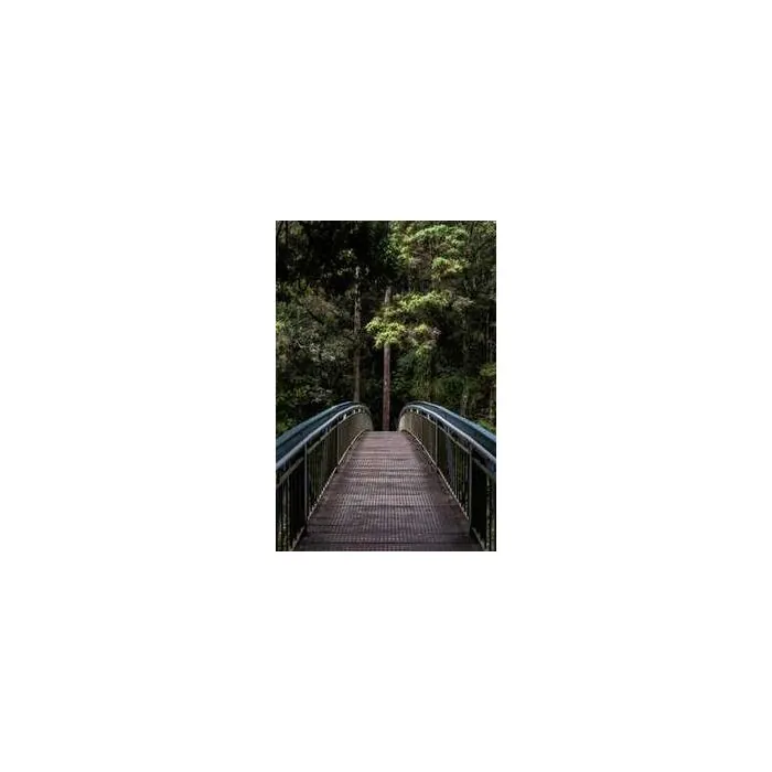 Simple Product 6904