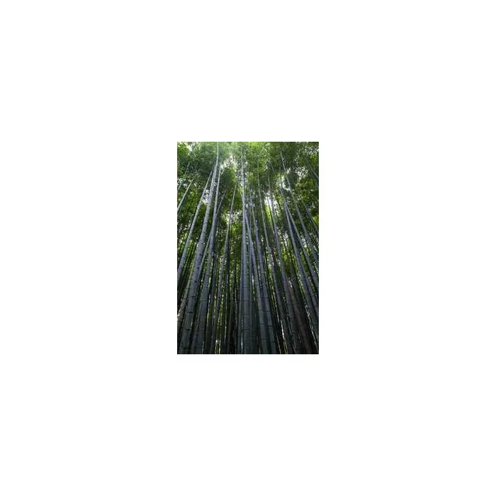 Simple Product 12056