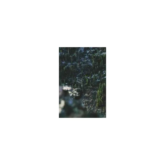 Simple Product 12537