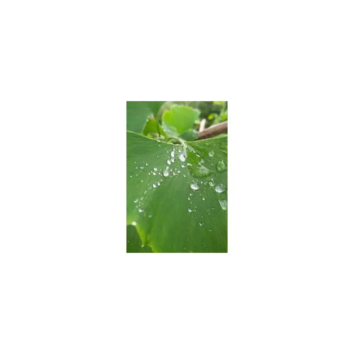Simple Product 8144