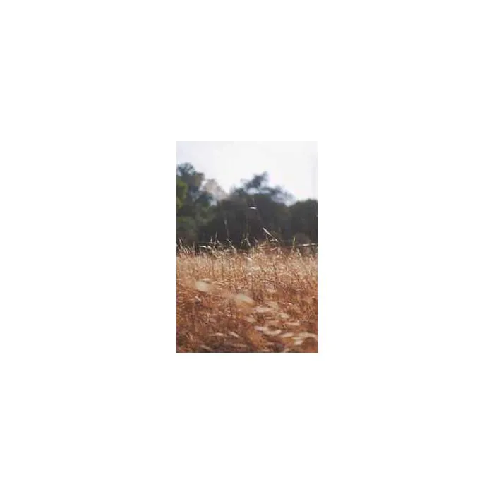 Simple Product 7693