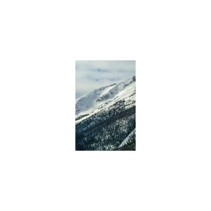 Simple Product 4763