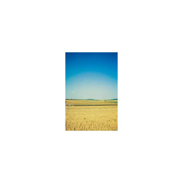 Simple Product 8301