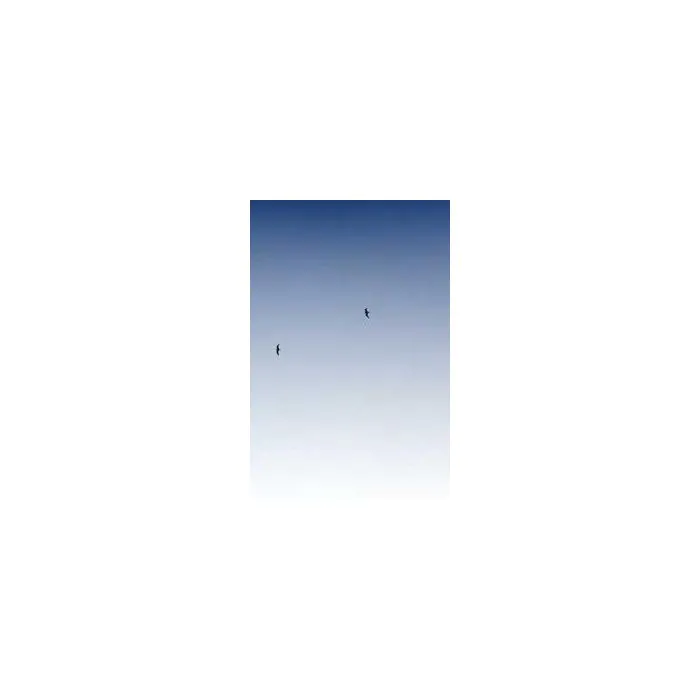 Simple Product 7693