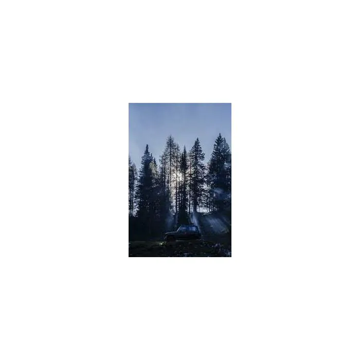 Simple Product 6687