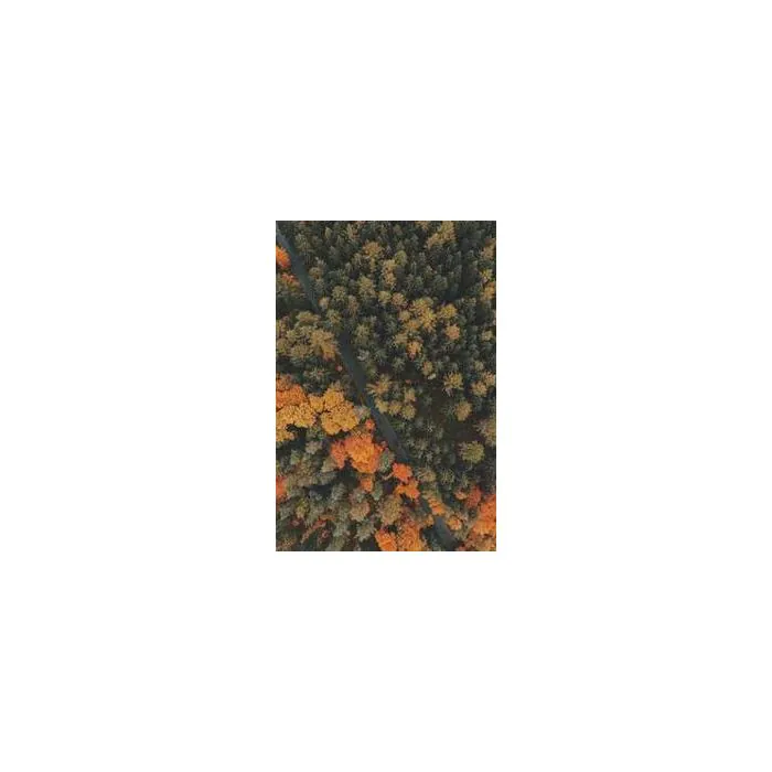 Simple Product 3493