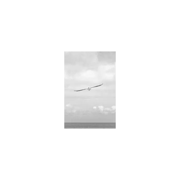 Simple Product 6612