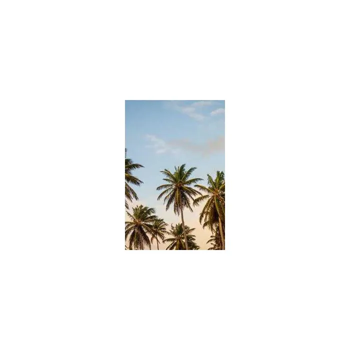 Simple Product 4529