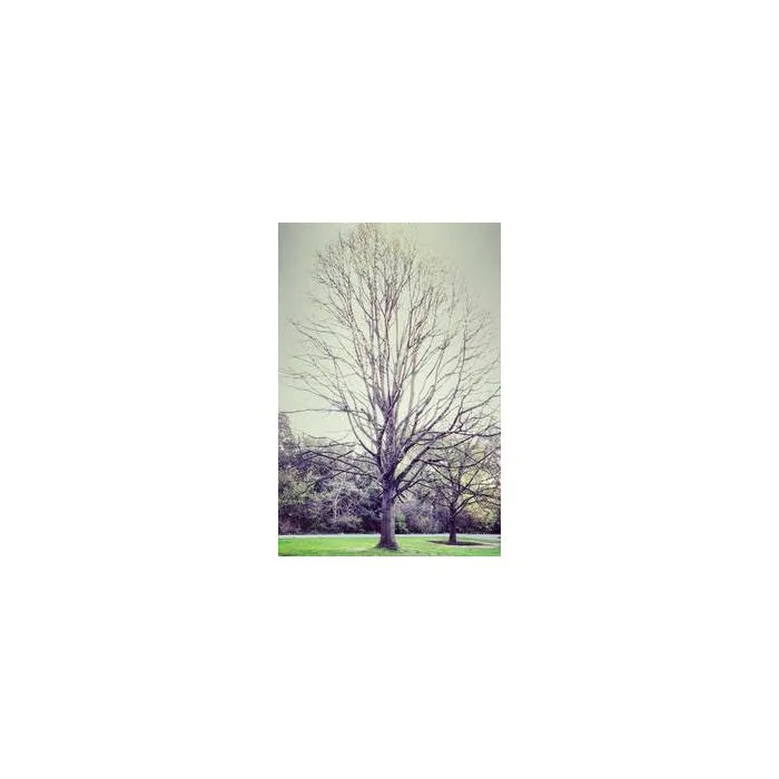 Simple Product 7745