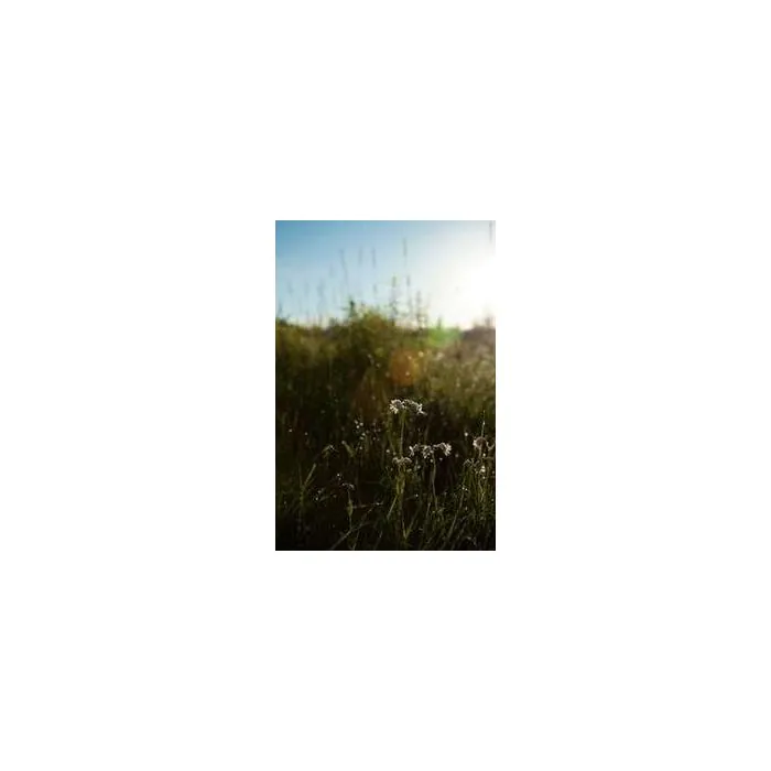 Simple Product 6687