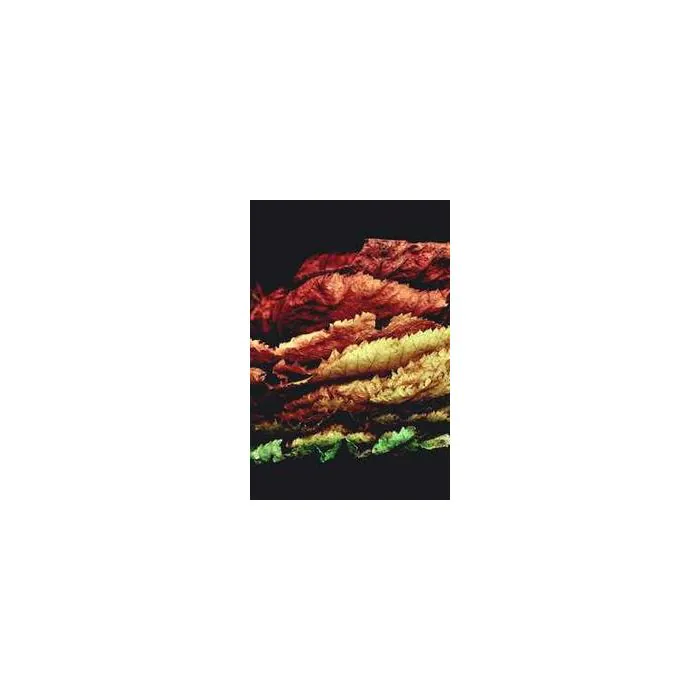 Simple Product 7670