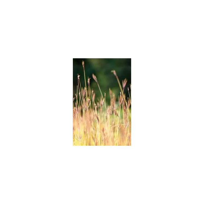 Simple Product 8128