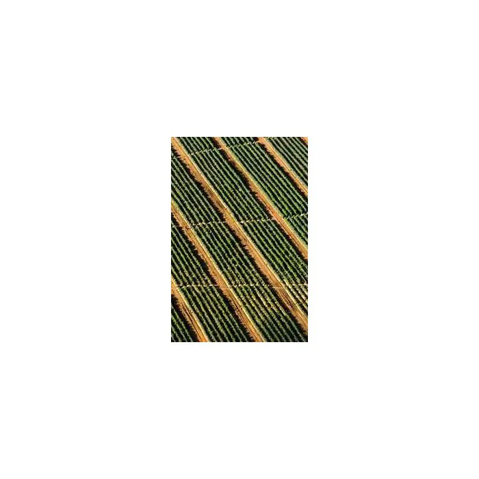 Simple Product 2196