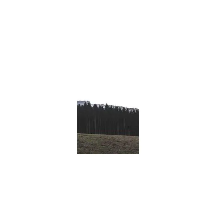 Simple Product 5979