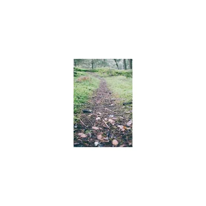 Simple Product 10076