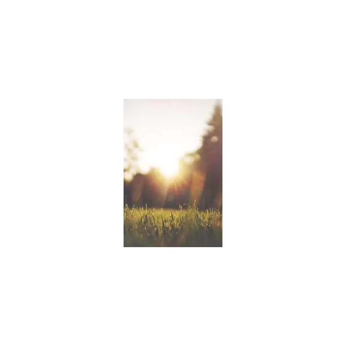 Simple Product 347