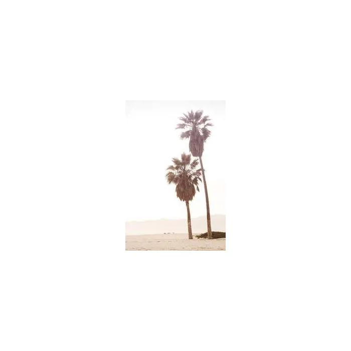 Simple Product 8128