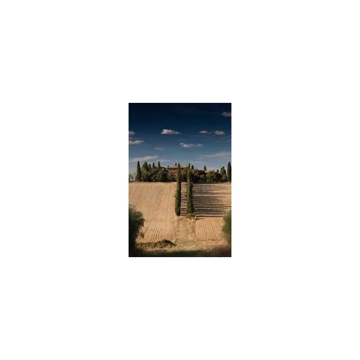 Simple Product 2146