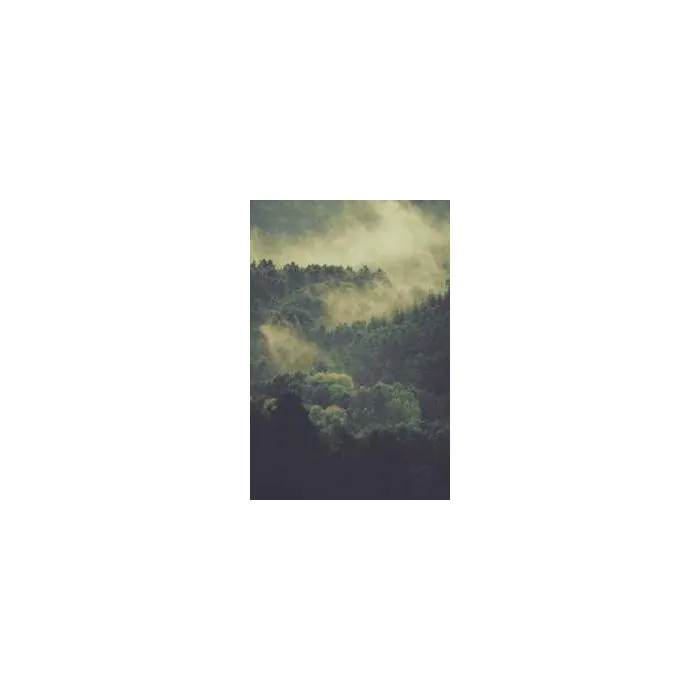 Simple Product 782