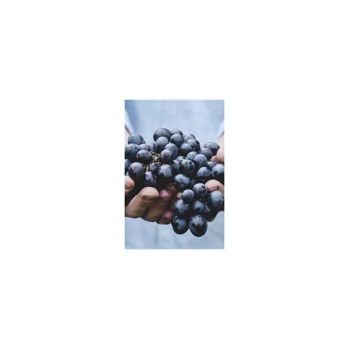 Simple Product 729