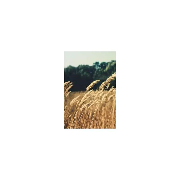 Simple Product 6633