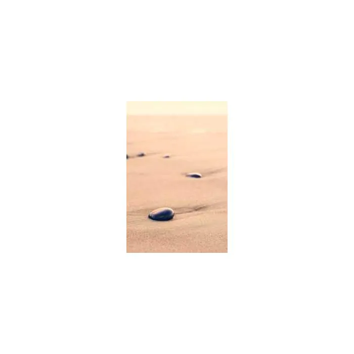 Simple Product 12032