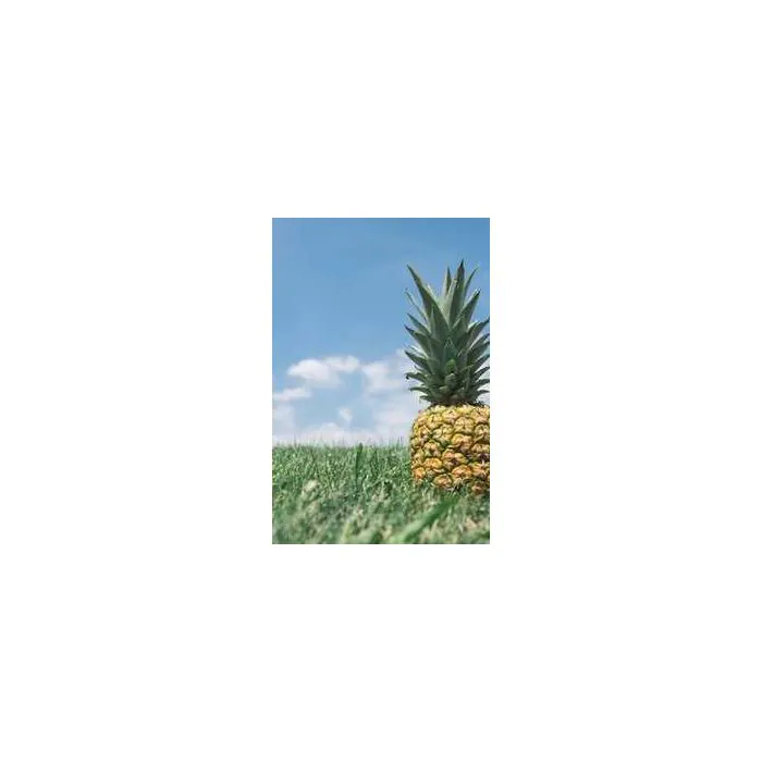 Simple Product 335