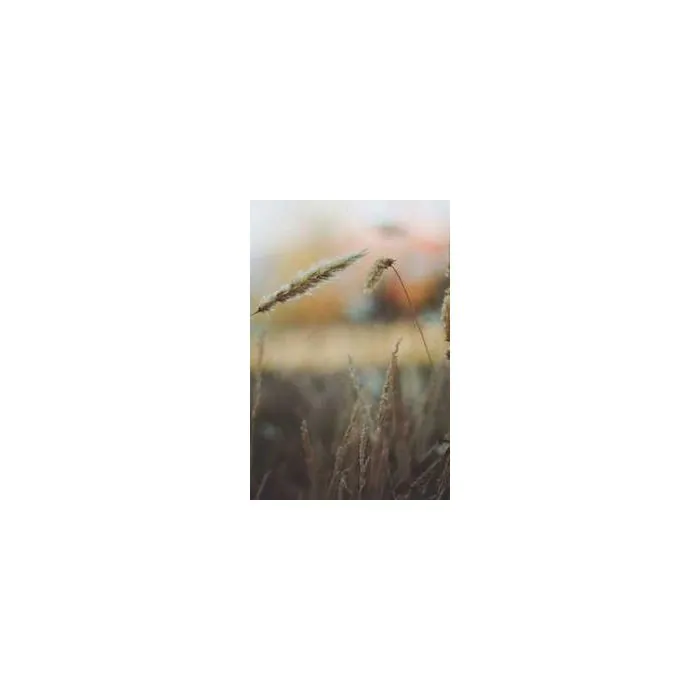 Simple Product 8391