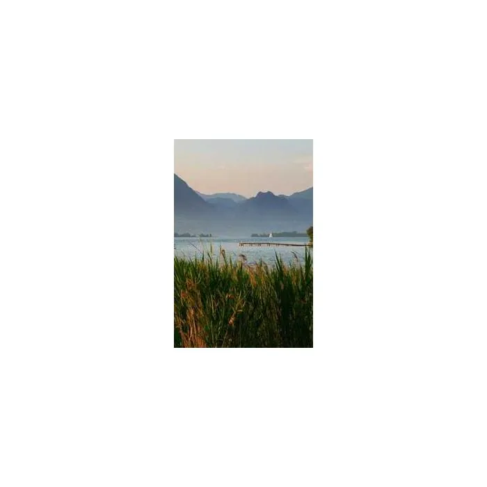 Simple Product 5762