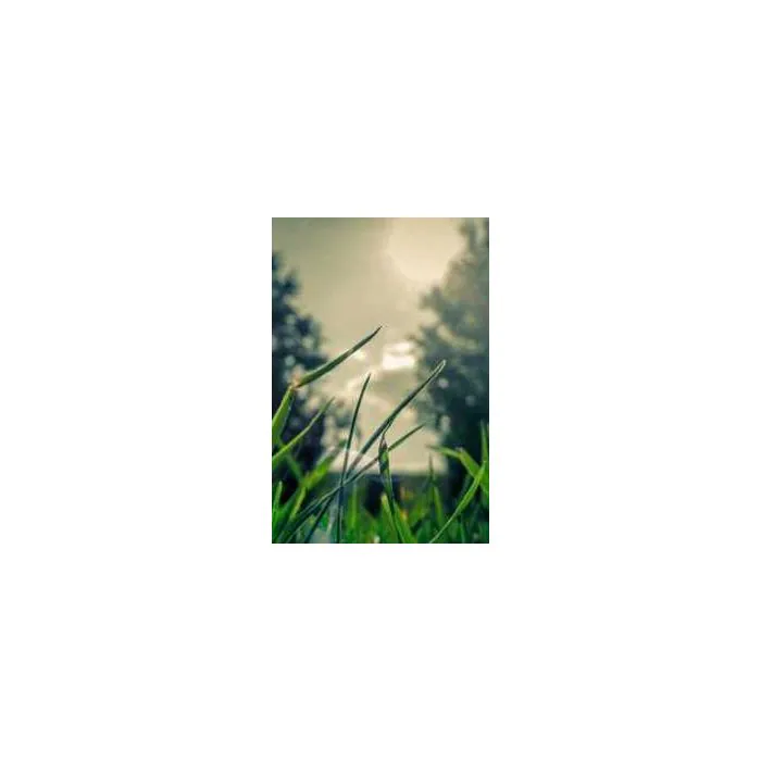 Simple Product 2514