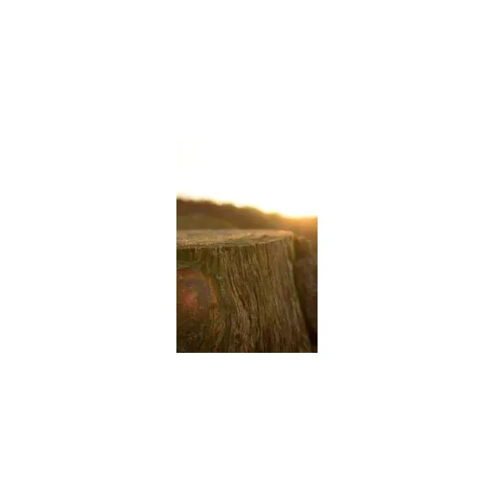 Simple Product 5857