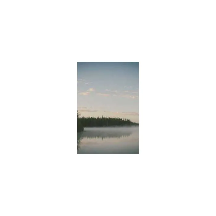 Simple Product 6593