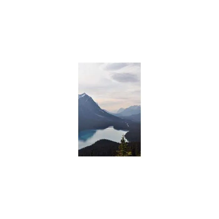 Simple Product 6228