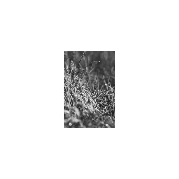 Simple Product 15837