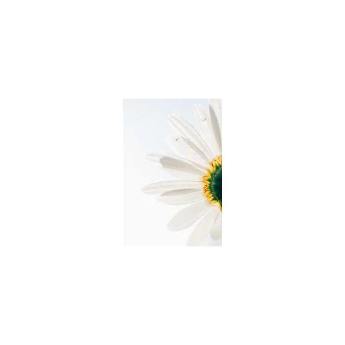 Simple Product 9130