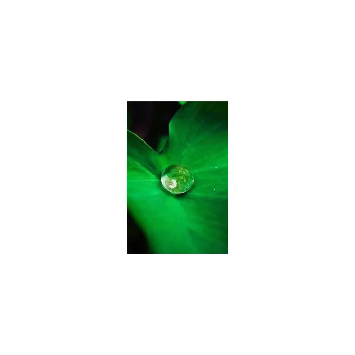 Simple Product 5644