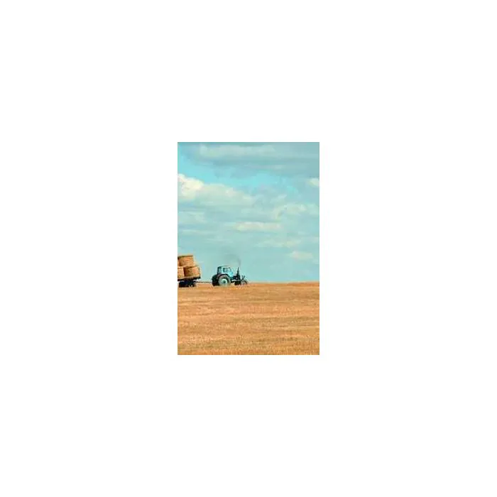 Simple Product 6478