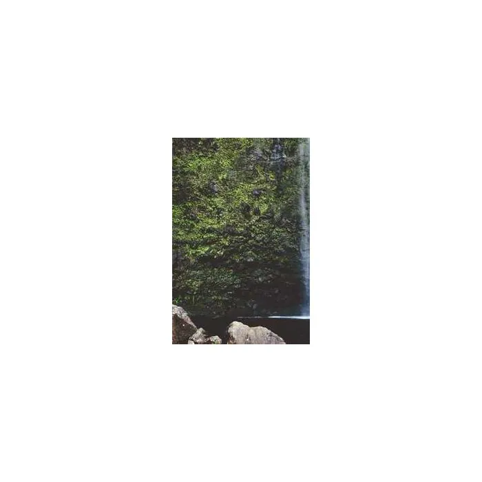 Simple Product 17118