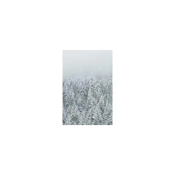 Simple Product 13972 Simple Product 13972