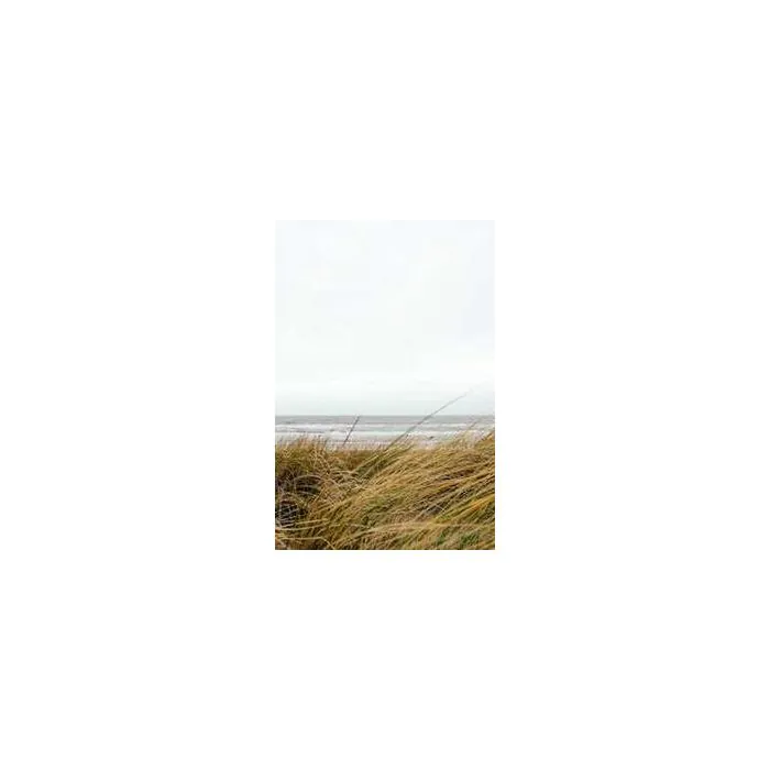Simple Product 39