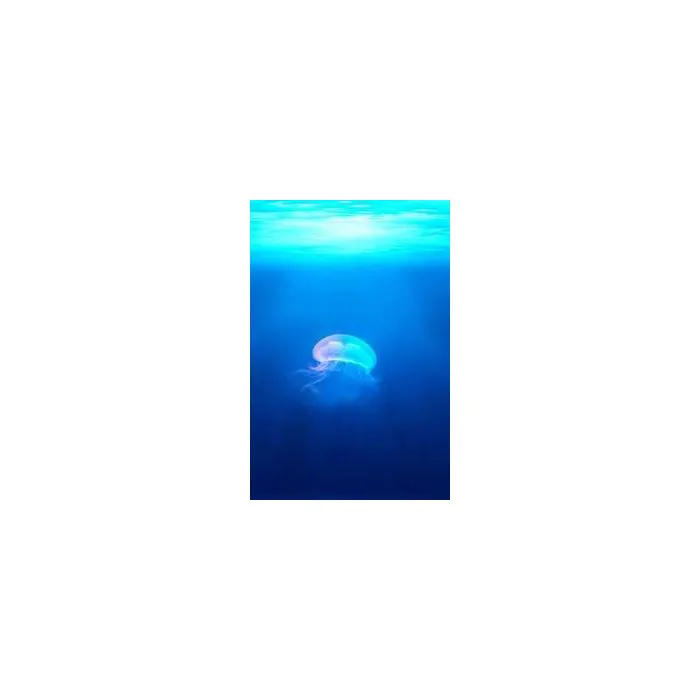 Simple Product 7679