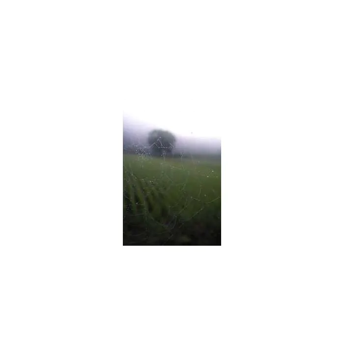 Simple Product 6765