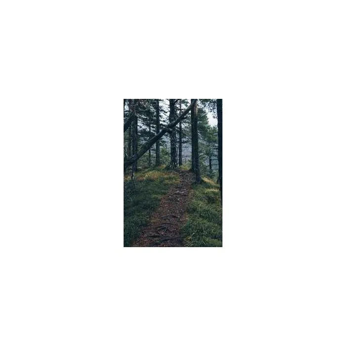 Simple Product 3045